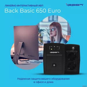 Back Basic 650 Euro