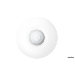 AX PRO Celling DS-PDCL12-EG2-WE