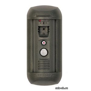 DS06A (Gray, SD 4Gb)
