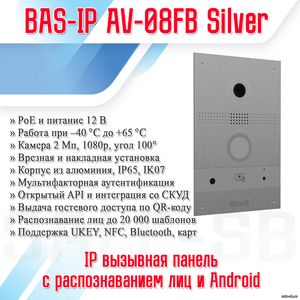 AV-08FB Silver