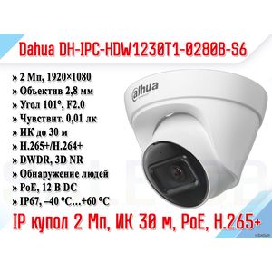 DH-IPC-HDW1230T1-0280B-S6