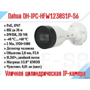 DH-IPC-HFW1230S1P-0280B-S6
