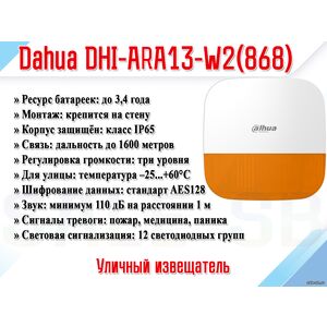 DHI-ARA13-W2(868)