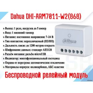 DHI-ARM7011-W2(868)