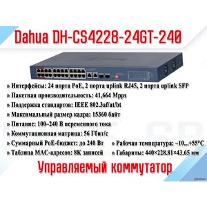 DH-CS4228-24GT-240 (L2)
