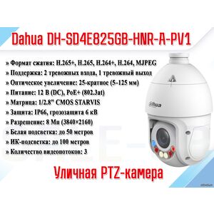 DH-SD4E825GB-HNR-A-PV1
