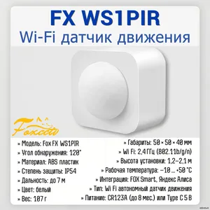 FX-WS1PIR