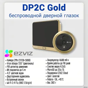 CS-DP2C Gold
