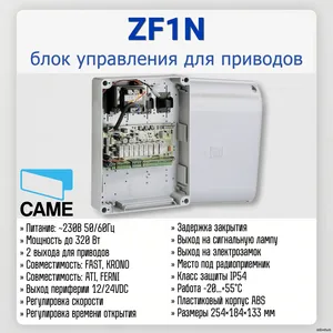 ZF1N