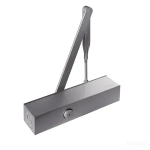 TS-83 (Silver)
