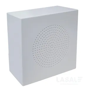 WS-06T