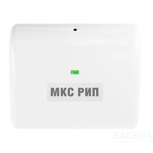 МКС РИП