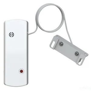 Ri-FD-2
